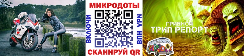 Купить  Каменногорск  Псилоцибиновые грибы MAGIC MUSHROOMS 